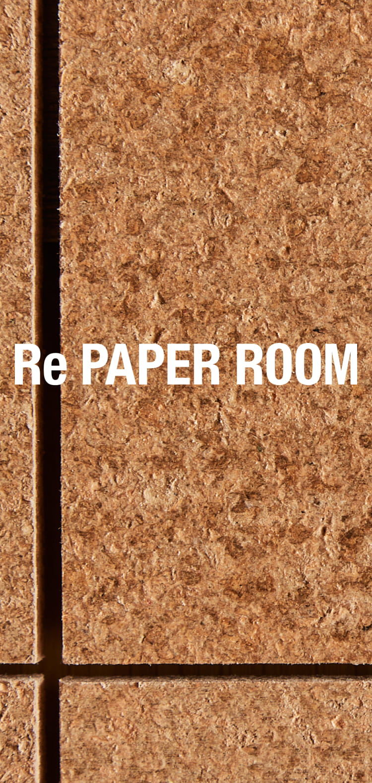 re PAPER ROOM